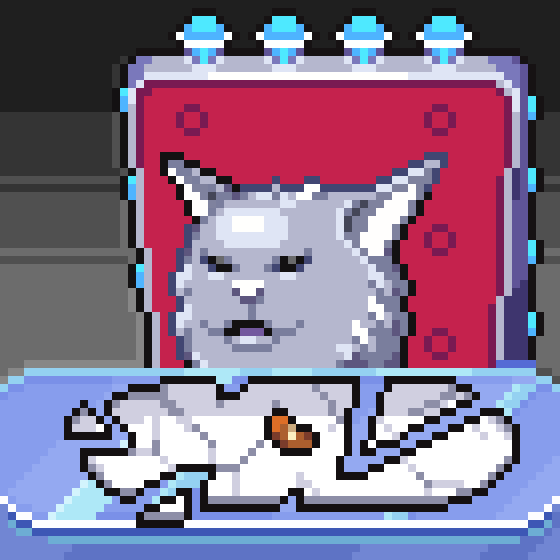 meme_cats: 504