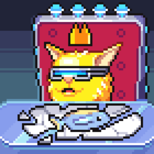 meme_cats: 1082