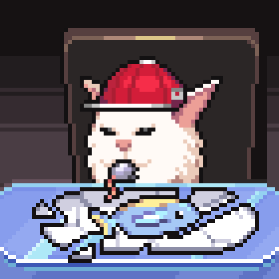 meme_cats: 41