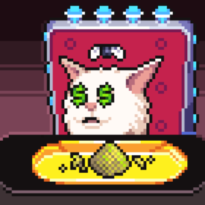 meme_cats: 1004