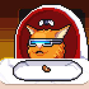 meme_cats: 4055