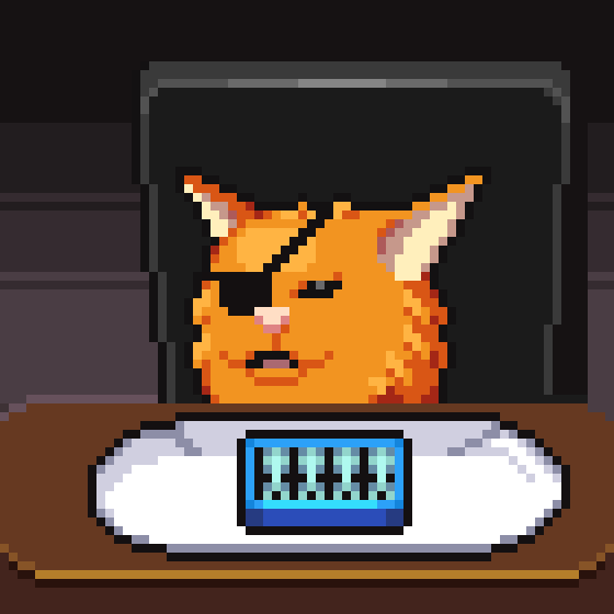 meme_cats: 4203