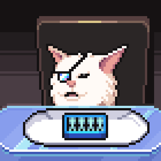 meme_cats: 2951
