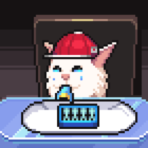 meme_cats: 2219