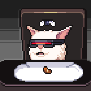 meme_cats: 917