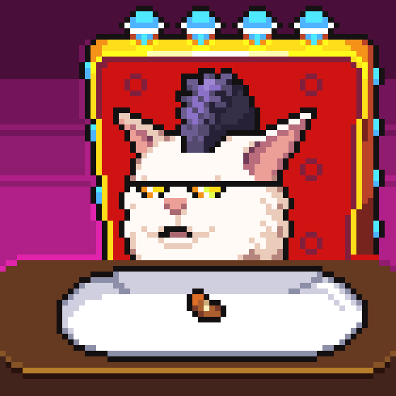 meme_cats: 914