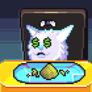 meme_cats: 816