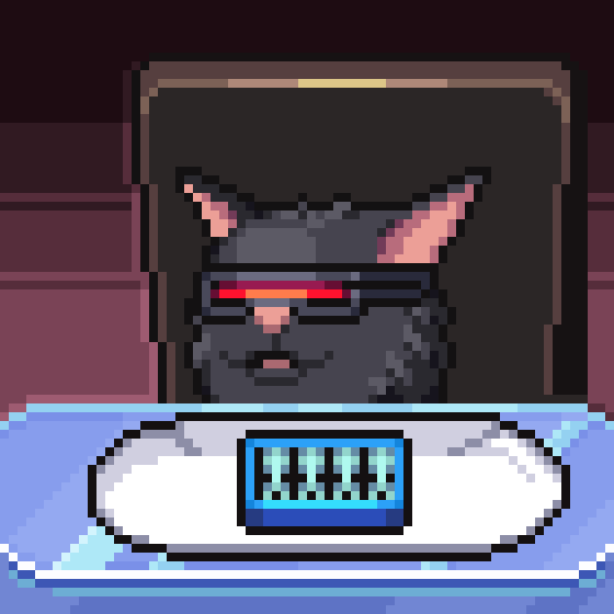 meme_cats: 3912