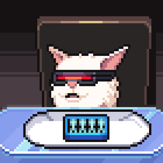 meme_cats: 2442