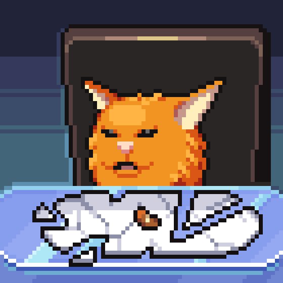 meme_cats: 4645